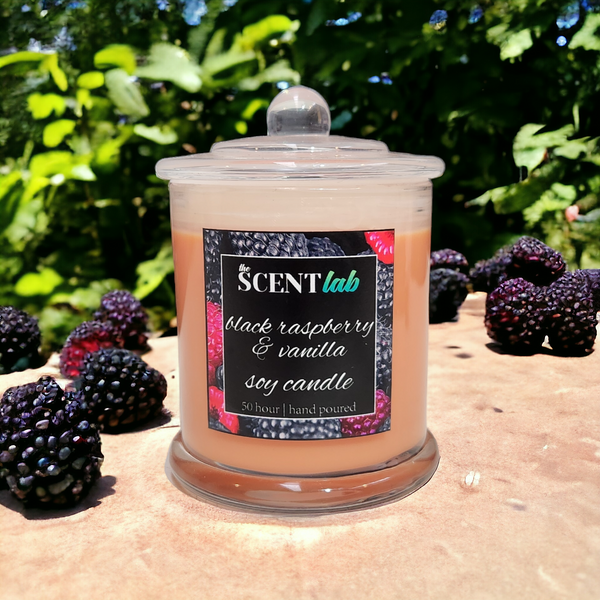 Black Raspberry and Vanilla - 50 Hour Candle - Limited Edition