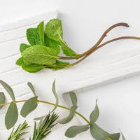 Euky Soother - 30ml Fragrance Oil