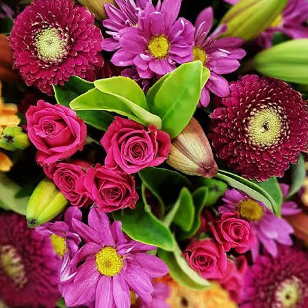Flower Bombed
