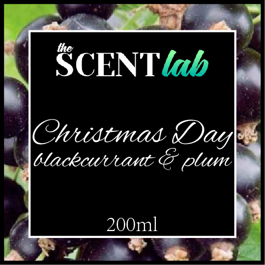 200ml Reed Diffuser - Christmas Day Blackcurrant and Plum