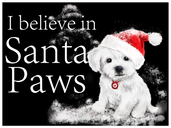 Santa Paws Candle - Clear Glassware