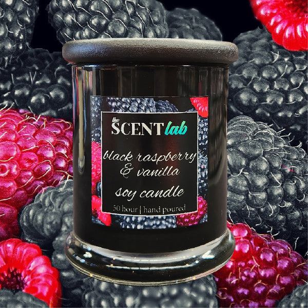 Black Raspberry and Vanilla - Opaque Black Candle - 50 Hour