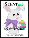 Easter Melts - Choc Mint