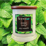 Sinus Relief - Opaque White Candle - 50 Hour